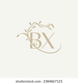 B X BX Beauty Vektor Logo, handschriftlich Logo der ersten Signatur, Hochzeit, Mode, Jewerly, Boutique, Blumen und botanisch mit kreativem Template