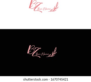 B Z BZ Initial letter handwriting and signature logo.