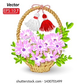 Baba Marta Day. Martenitsa, white and red strains of yarn, Bulgarian folklore tradition, welcoming the spring in March, adornment symbol, Basket with flowers daisy,  isolated on white  background vect