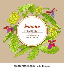 babana plant vector frame on color backgrond