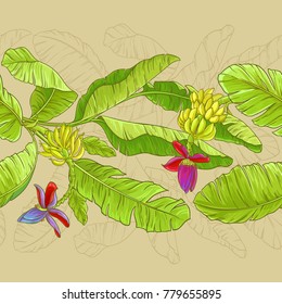 babana vector pattern