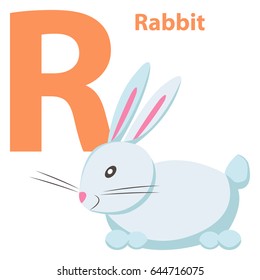 Babies English ABC letter R with white rabbit cartoon style. Little fluffy beast with pink nose and round short tail. Cute funny card for primary education vector illustration typography concept