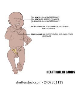 Babies Herzfrequenz, Vektor Schnelle, langsame und unregelmäßige Herzschläge.