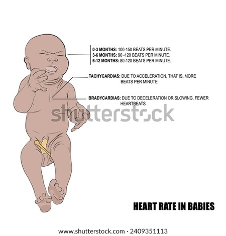 Babies heart rate, vector Fast, slow and irregular heartbeats.