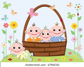 Babies ln basket