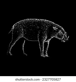 babirusa hand drawing vector isolated on white background.