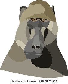 Baboon Ape Head Portrait Illustration In Graphic Style