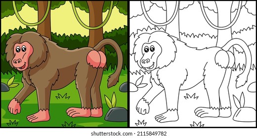 Baboon Coloring Page Vector Illustration