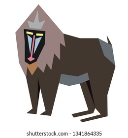 baboon flat illustration Wild life plants and animals series