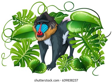 Baboon in green leaves illustration