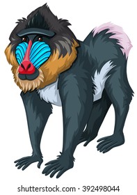 Baboon with happy face illustration