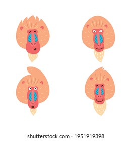 Baboon with a happy face, vector illustration on a white background.