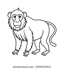 Baboon illustration coloring page for kids 