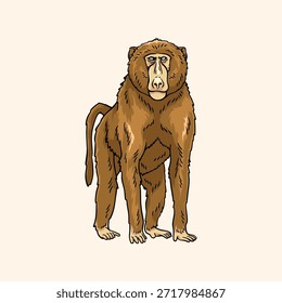 Ilustração de babuíno isolada sobre plano de fundo neutro, arte vetorial de primata em pé	