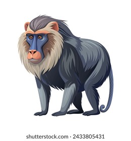 Baboon illustration on White Background