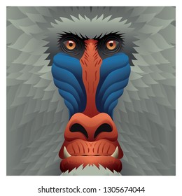 BABOON MANDRILL BLUE FACE AND GREY FUR