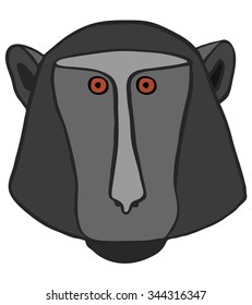 baboon monkey