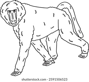 Baboon Monkey Animal Isolated Coloring Page 