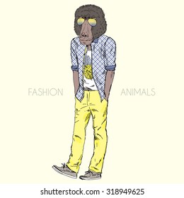 baboon monkey dressed up in casual style, animal hipster, furry art illustration