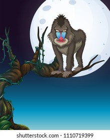 A Baboon on the Tree Night Scene illustration