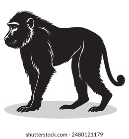 Baboon outline and symbols. Dark level variety basic exquisite white foundation Baboon animal vector and silhouette icon.