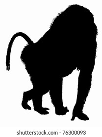 Baboon silhouette