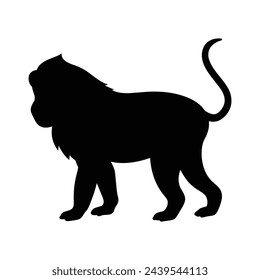 Baboon silhouette on white background