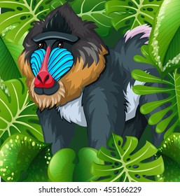 Baboon sitting in the bush illustration