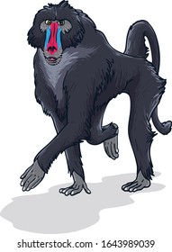 Baboon Vector Illustration Suitable For Any Graphic Design Project