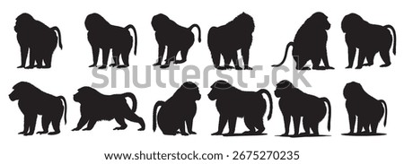 baboons silhouette white background vector illustration
