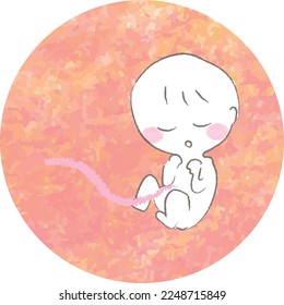 Baby in der Gebärmutter Frühgeborene Illustration