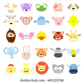 baby animal faces