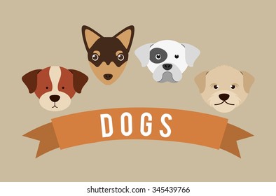 baby animals design, vector illustration eps10 graphic 