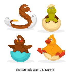 Baby animals hatch eggs or cartoon pets hatching. Vector flat isolated funny toy icons