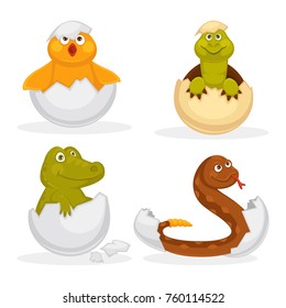 Baby animals hatch eggs or cartoon pets hatching. Vector flat isolated funny toy icons