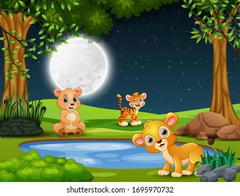 Baby animals playing by the small pond at night