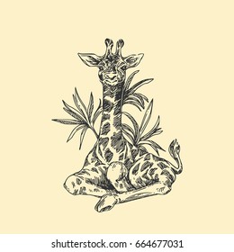 Baby animals. Wild. Giraffe. Vintage style. Vector illustration.