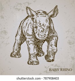 Baby animals. Wild. Rhino. Vintage style. Vector illustration.