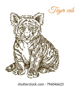 Baby animals. Wild. Young tiger. Vintage style. Vector illustration.