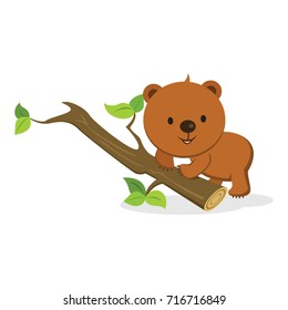 Baby bear. Vector illustration.