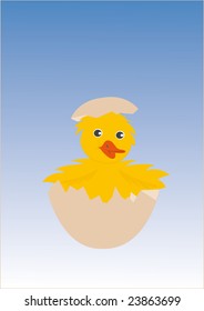 baby bird