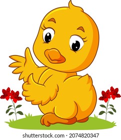 The baby bird is giving the thumb up with the happy face of illustration