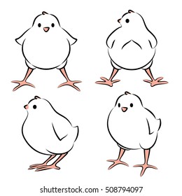Baby Bird. Vector Illustration Of A Baby Bird From Four Angles