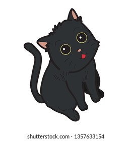 Baby black kitten is sitting looking at you.