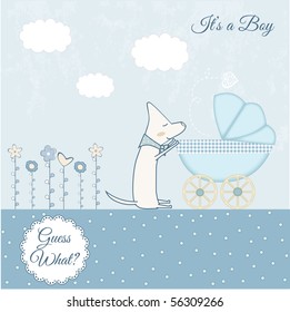 Baby boy announcement