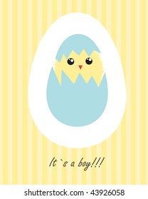 Baby boy arrival announcement  card