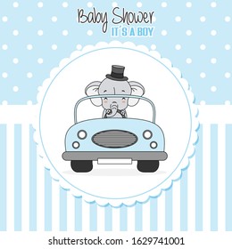 baby boy shower card. Elephant driven a car