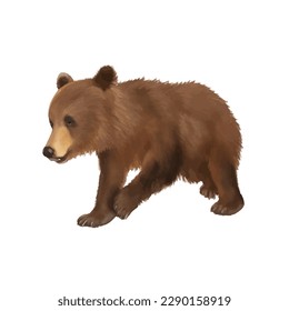 baby brown bear with style hand drawn digital painting illustration