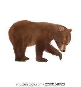 baby brown bear with style hand drawn digital painting illustration