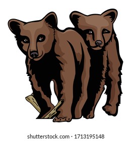 baby brown grizzly bear together Cartoon Animal Vector